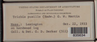 Image Associated With the Occurence